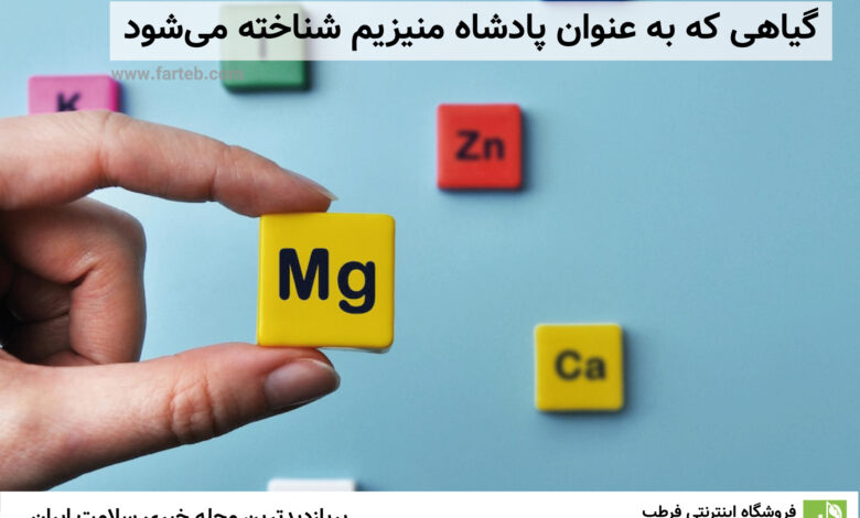گیاهی که به عنوان پادشاه منیزیم شناخته میشود
