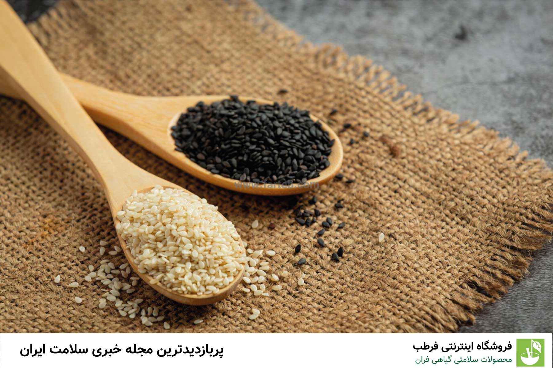 مغزها و دانه ها