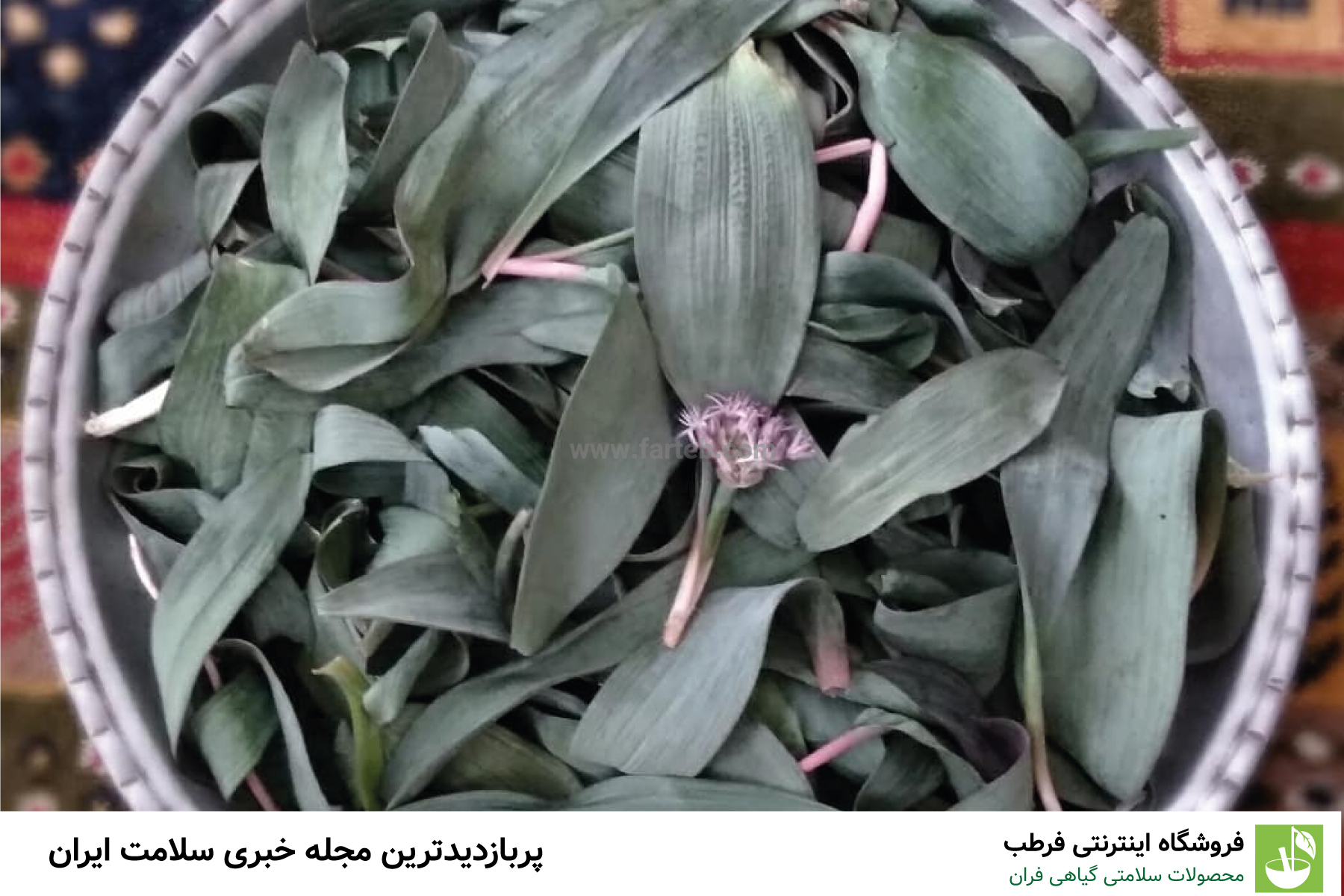 گیاهی که به عنوان پادشاه منیزیم شناخته میشود