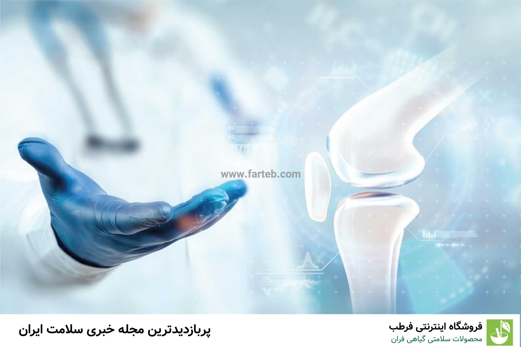 دانه هایی که باعث تقویت استخوان میشوند