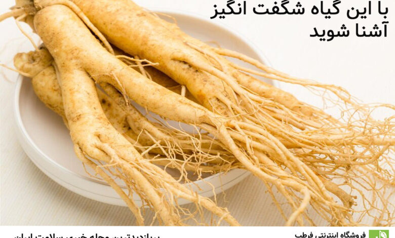 با این گیاه شگفت انگیز آشنا شوید