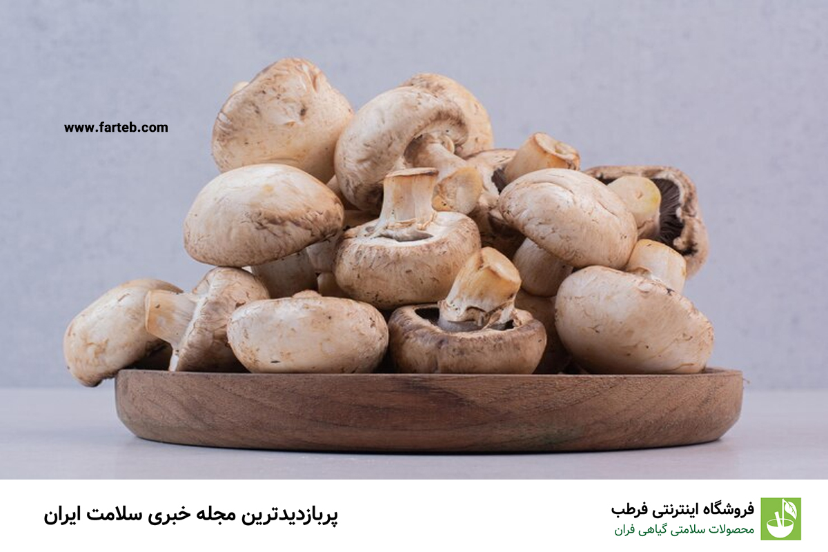 قارچهای دارویی