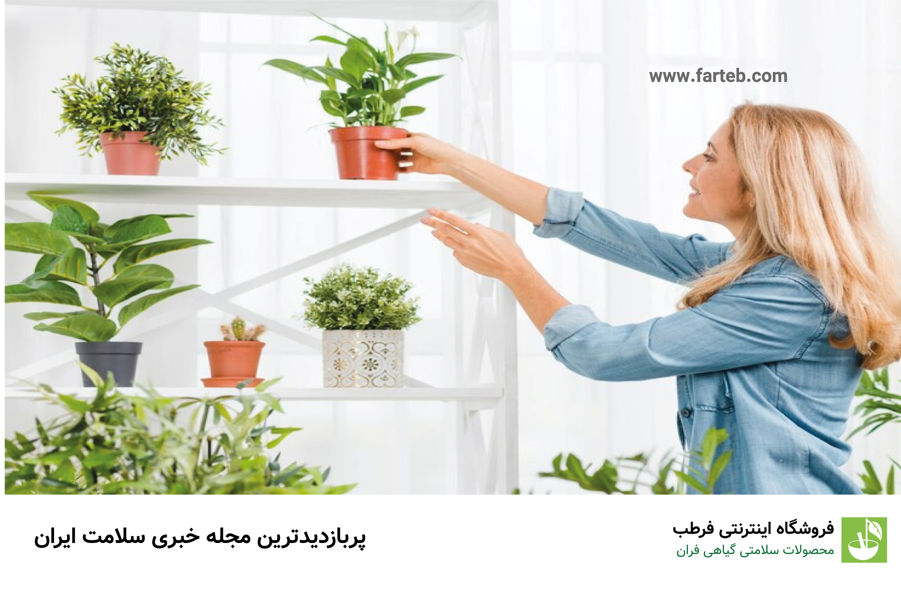 با بهترین گیاهان آپارتمانی اکسیژن ساز برای آلودگی هوا آشنا شوید