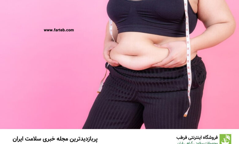 ۷ ماده غذایی مفید برای چربی‌سوزی شکم