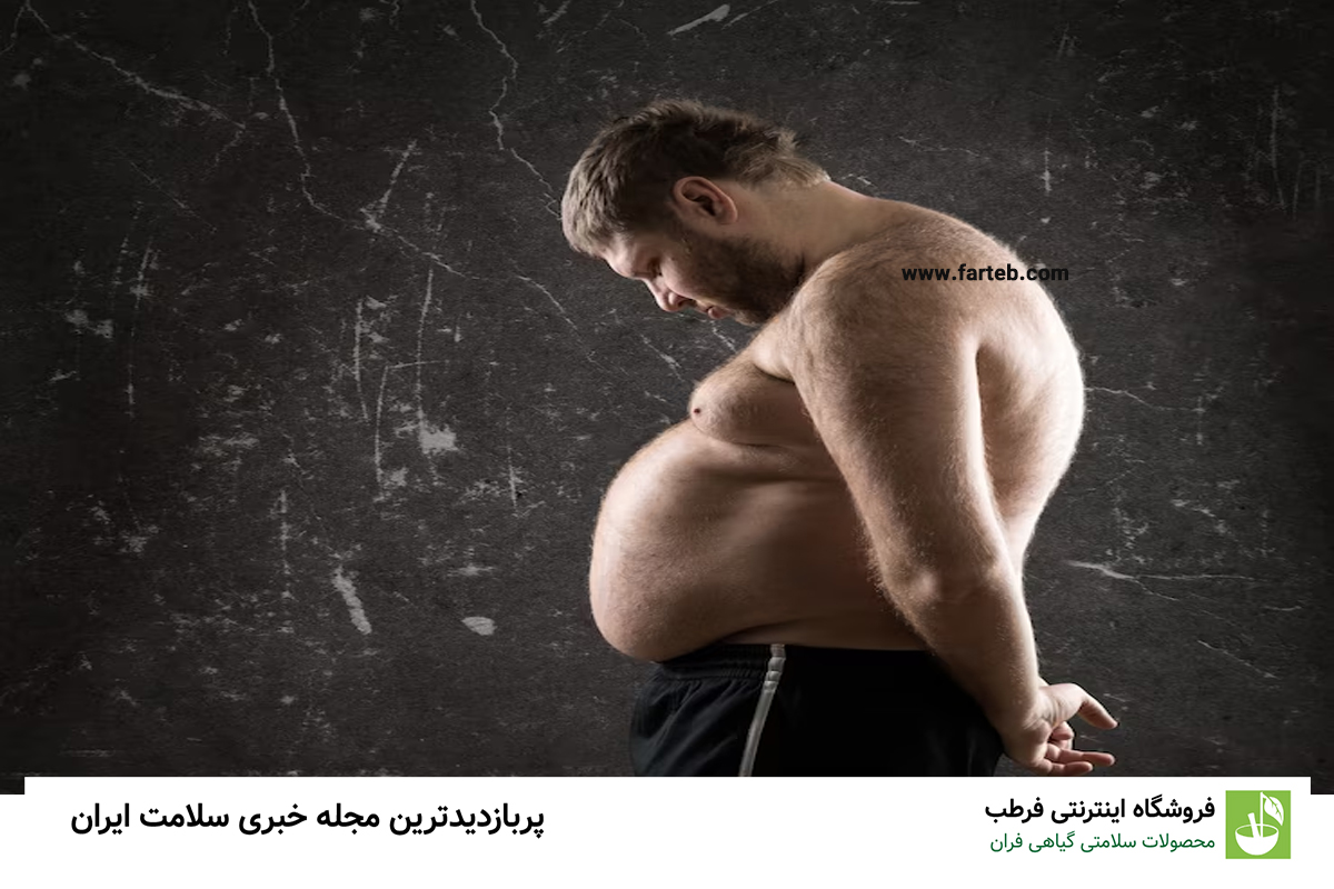 کاهش طول عمر ناشی از چربی شکمی