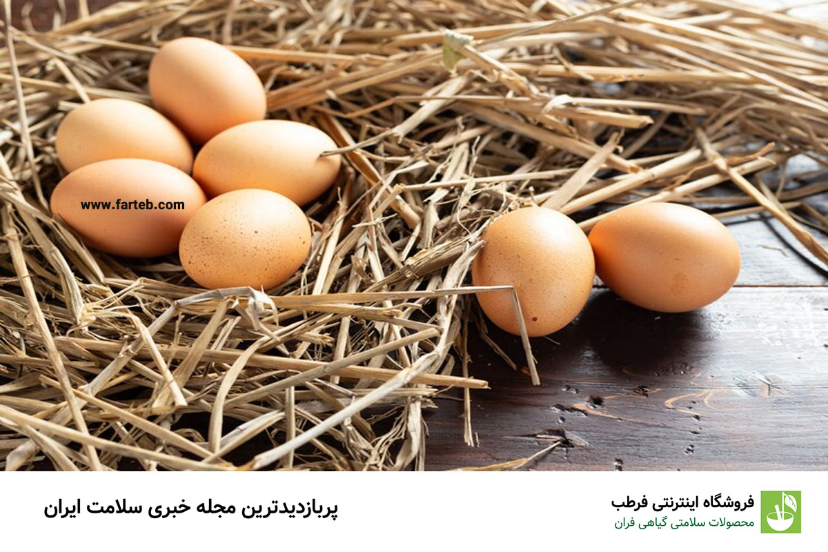 بیماران قلبی تخم‌مرغ را این طور مصرف کنند