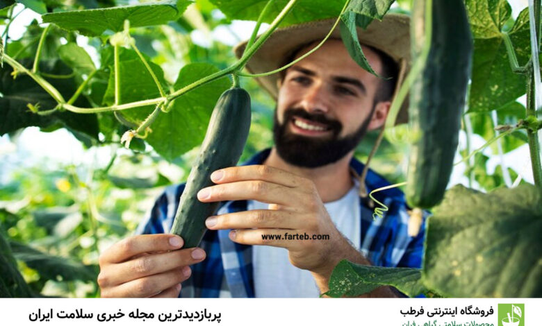کاهش قند خون، جلوگیری از یبوست و کاهش وزن با این میوه