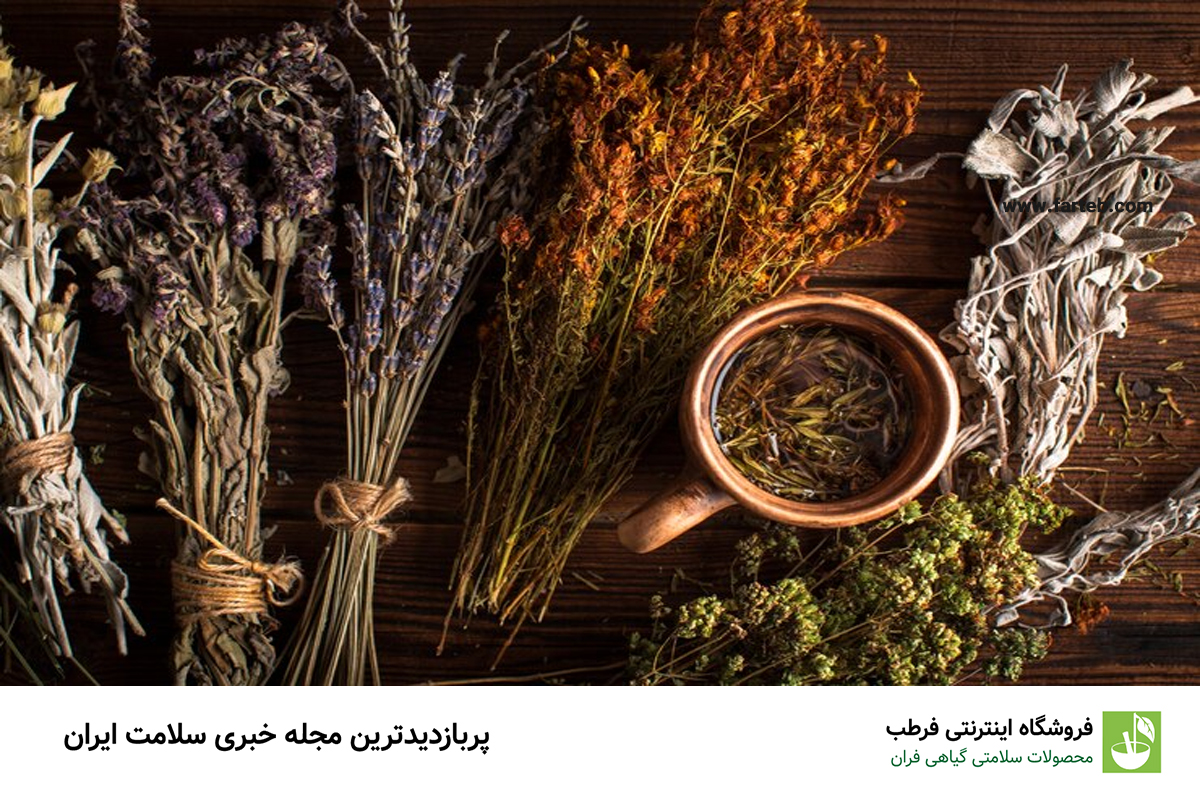 معرفی 5 تا از مؤثرترین گیاهان دارویی برای تقویت حافظه و تمرکز