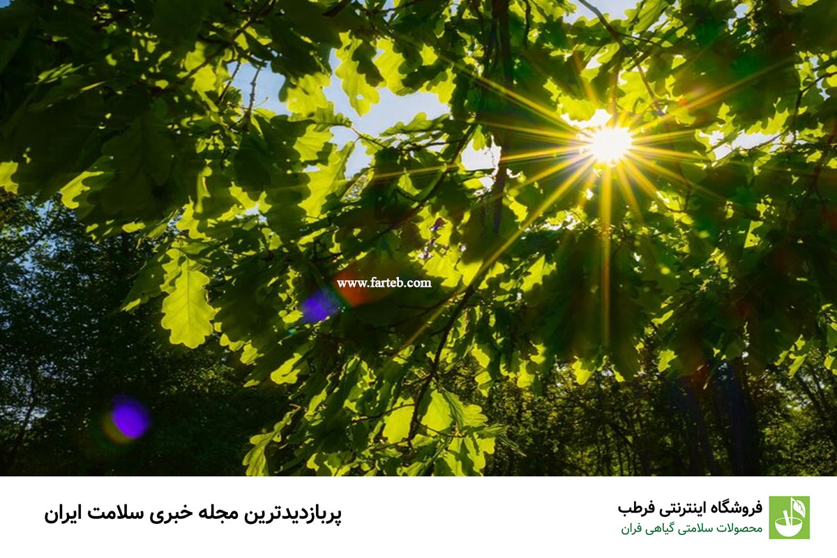 آیا چای باعث کم خونی می شود؟