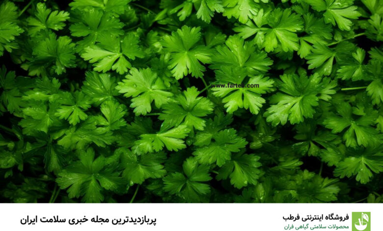 تنظیم هورمون‌های زنانه، منبع غنی ویتامین A، K، C و فولات، ضد سرطان، کاهش وزن از بین برنده بوی بد دهان، تقویت سیستم گوارش از فواید بینظیر این گیاه میباشد