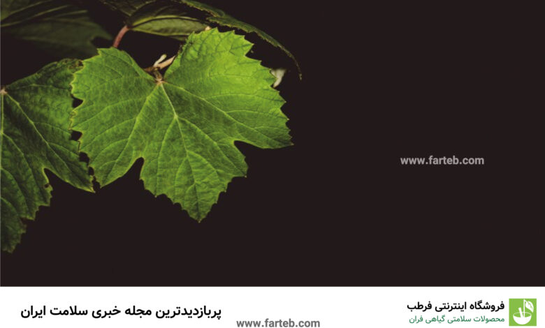 تقویت سیستم عصبی و تقویت استخوان و غضروف، تقویت بینایی و درمان قطعی کبد و بیماری قلبی با این برگ میوه