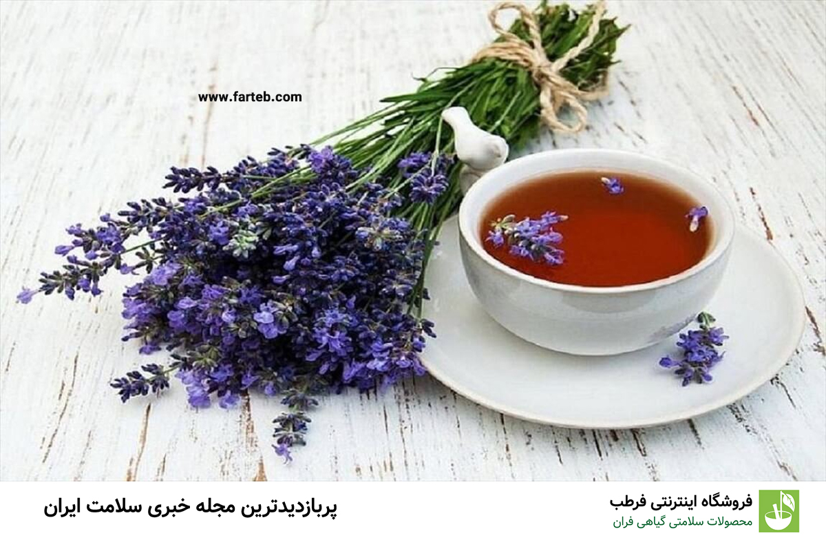 فواید گل گاوزبان در کنترل و تنظیم فشار خون: راهکاری طبیعی