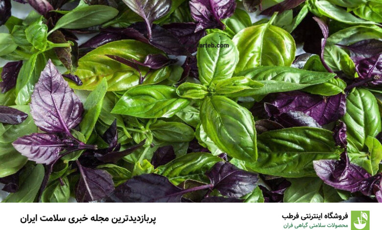 این سبزی در سبزی خوردن ضد دیابت، ضد درد، ضد فشار خون و ضد گاز معده است