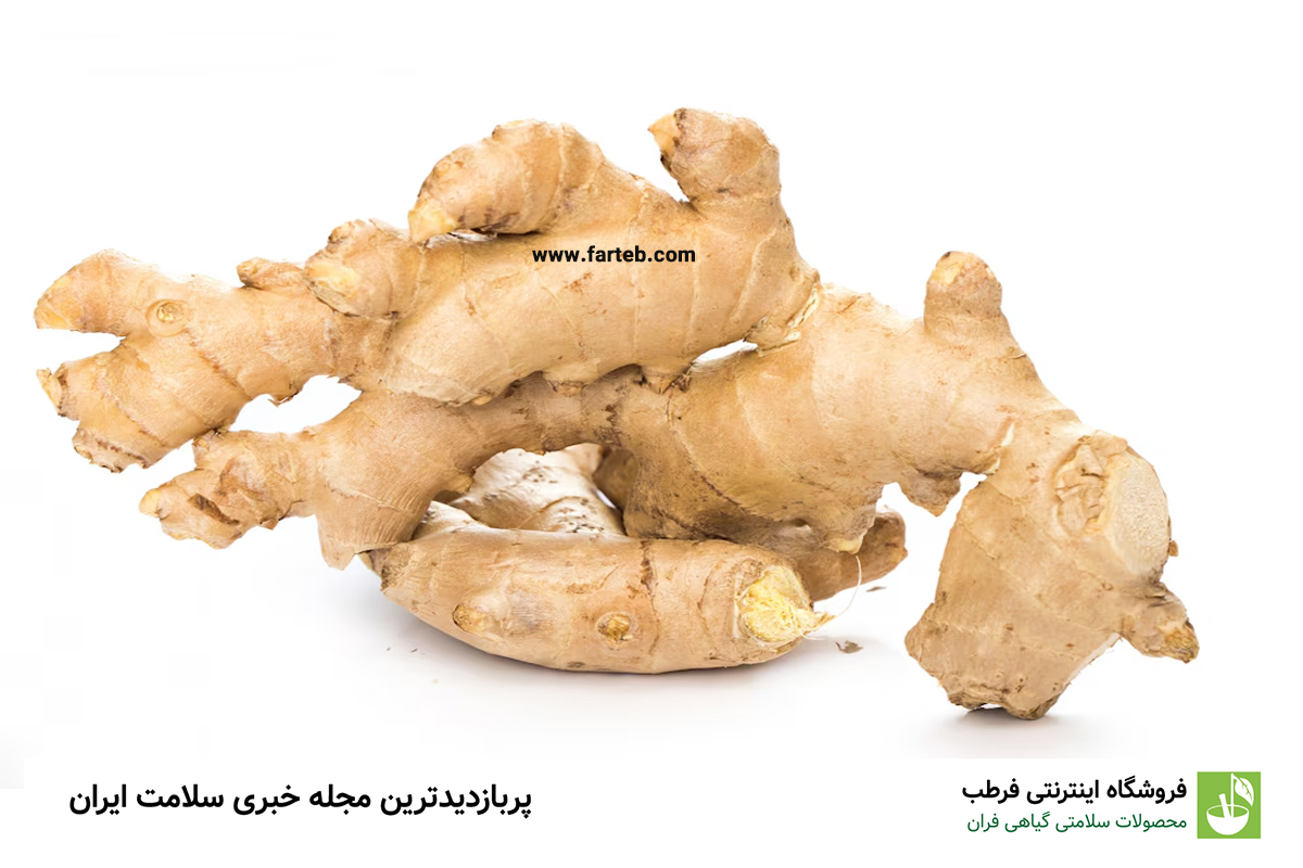 ۴ ماده غذایی معجزهآسا برای تقویت و بهبود عملکرد معده: راهنمای کامل