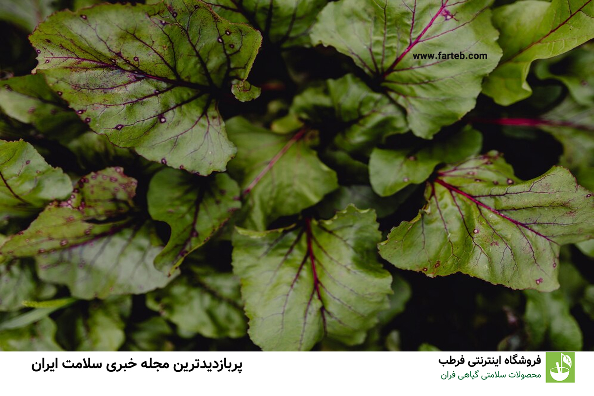افزایش سلامت زنان و تقویت سیستم ایمنی با این سبزی ضدباکتریایی