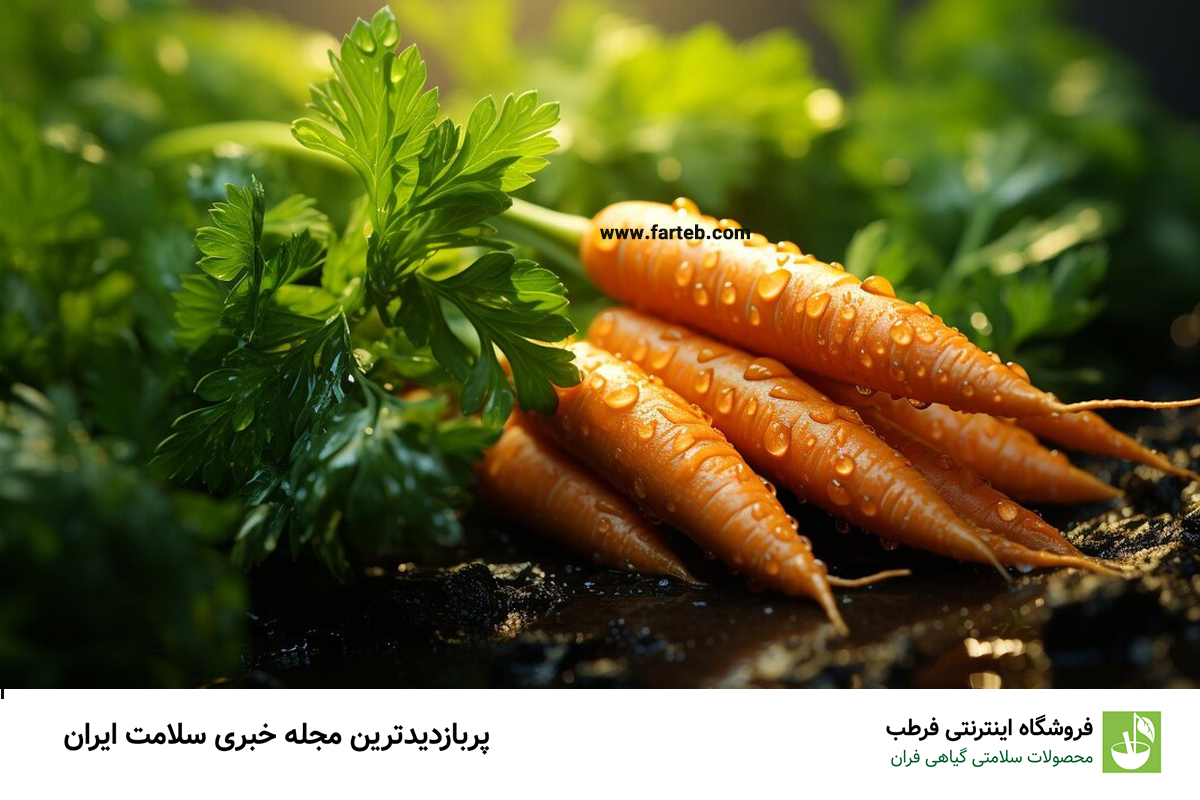 هویج و فواید شگفت‌انگیز آن برای سلامتی مردان: