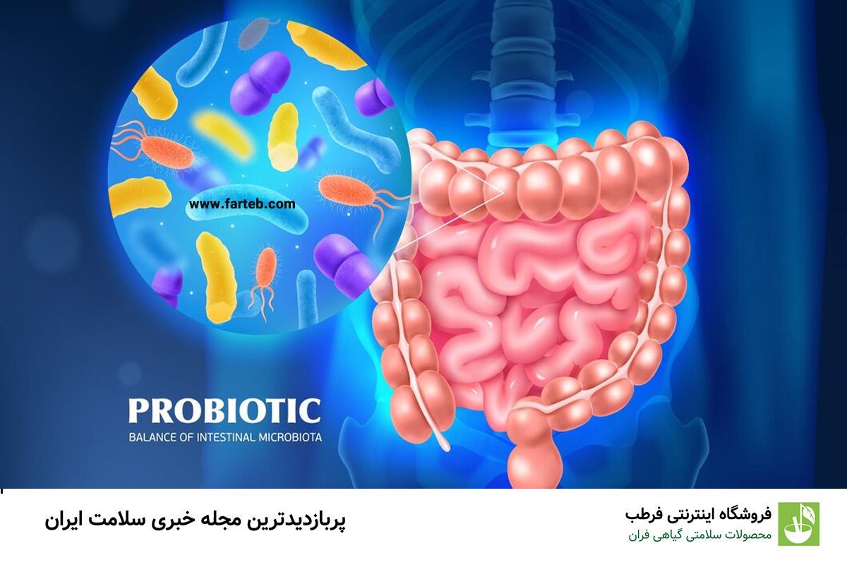 درمان گیاهی و مقرون به صرفه انگل روده: رهایی سریع و بیدردسر از این بیماری