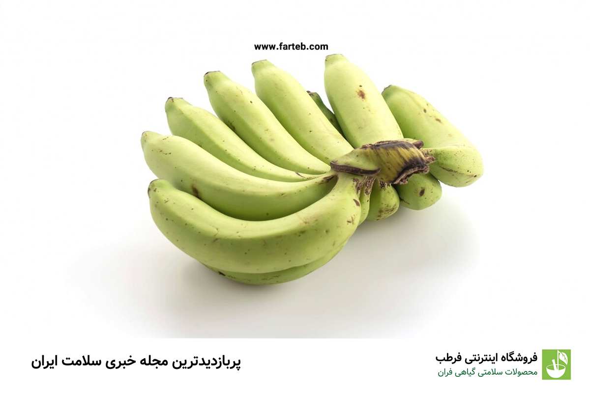 ۴ ماده غذایی معجزهآسا برای تقویت و بهبود عملکرد معده: راهنمای کامل