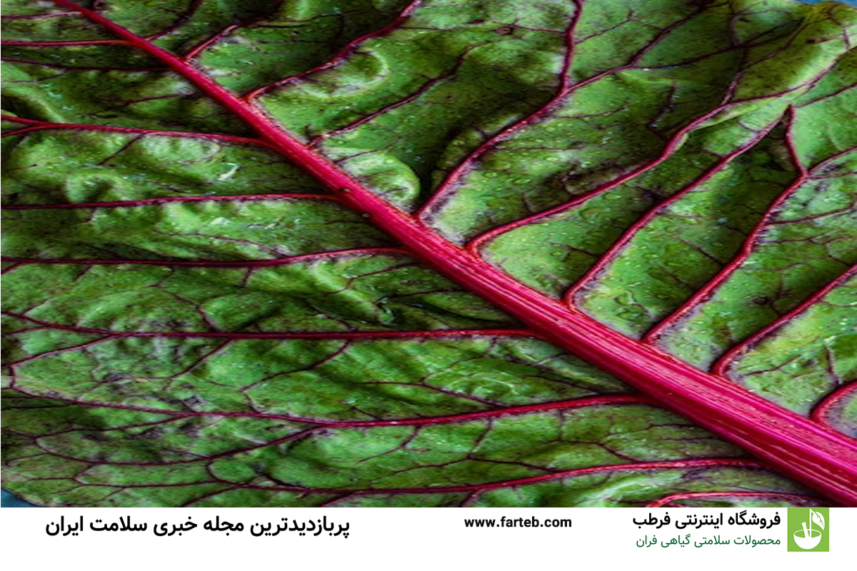 افزایش سلامت زنان و تقویت سیستم ایمنی با این سبزی ضدباکتریایی