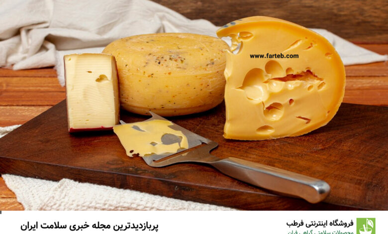 کشف فواید شگفت‌انگیز پنیر گودا برای سلامتی: رازهای نهفته در پنیر هلندی