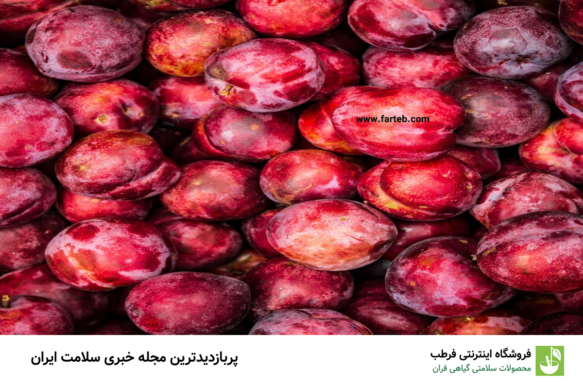 میوه‌ای پرخاصیت: غنی از آنتی‌اکسیدان و ویتامین A، منبع ایده‌آل آهن برای تقویت بدن!