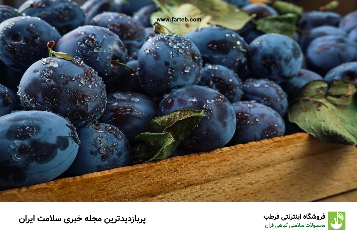 میوه‌ای پرخاصیت: غنی از آنتی‌اکسیدان و ویتامین A، منبع ایده‌آل آهن برای تقویت بدن!