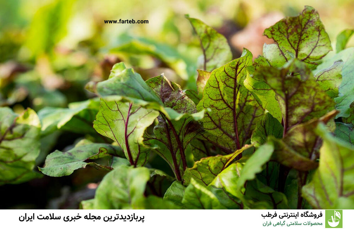 افزایش سلامت زنان و تقویت سیستم ایمنی با این سبزی ضدباکتریایی