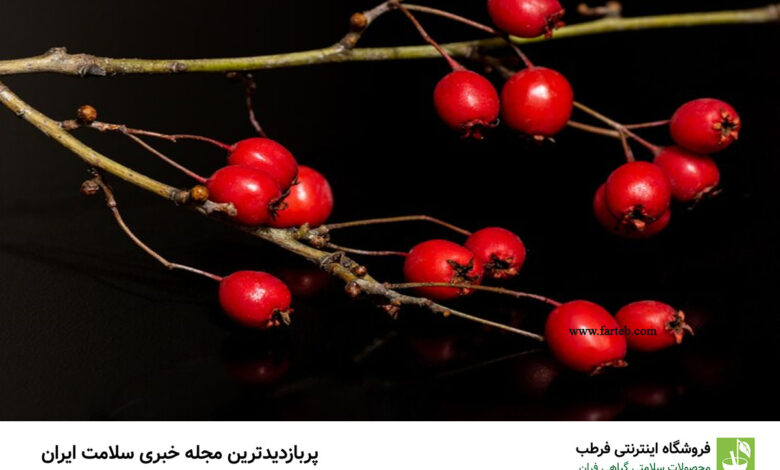 کاهش علائم تپش قلب و بهبود عملکرد قلب با یک گیاه خوش‌رنگ