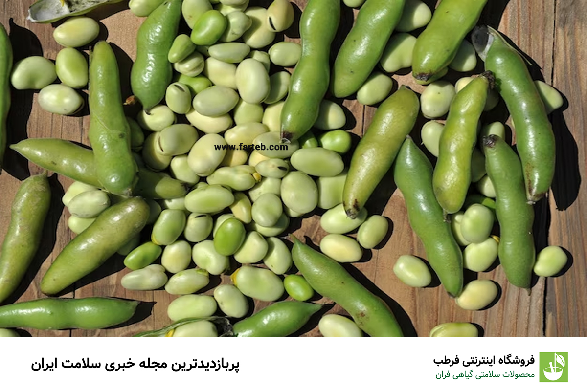کشف فواید شگفت‌انگیز باقلا سبز برای سلامتی: چرا باید به رژیم غذایی‌تان اضافه شود؟