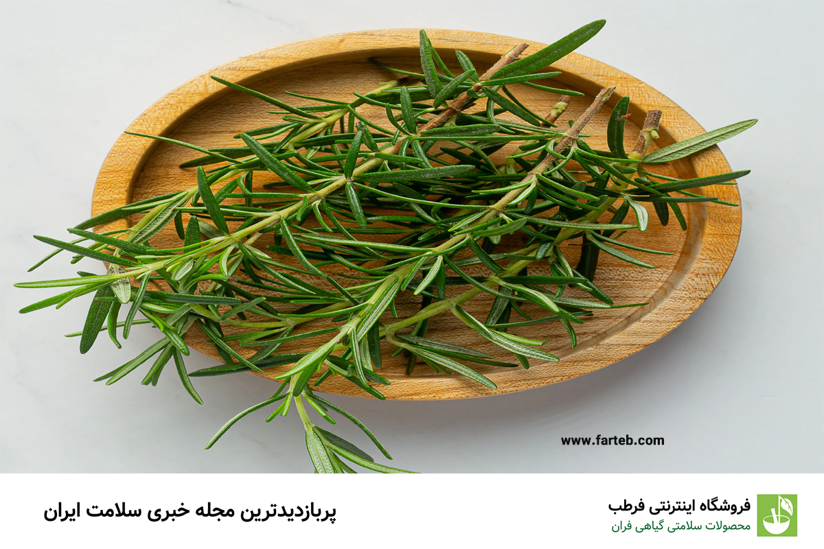 11 خاصیت رزماری و دمنوش رزماری برای سلامتی!