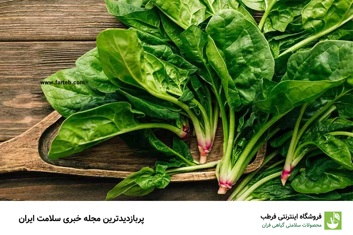 آب نمی‌خورید؟/ این ۸ سبزی را بخورید