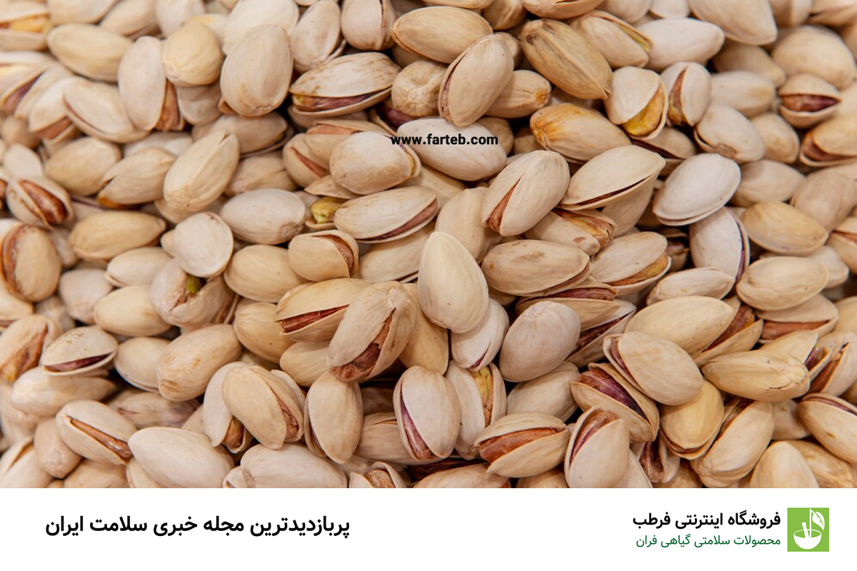 فواید استفاده از پسته برای سلامت مادر و جنین در دوران بارداریفواید استفاده از پسته برای سلامت مادر و جنین در دوران بارداریفواید استفاده از پسته برای سلامت مادر و جنین در دوران بارداریفواید استفاده از پسته برای سلامت مادر و جنین در دوران بارداریفواید استفاده از پسته برای سلامت مادر و جنین در دوران بارداریفواید استفاده از پسته برای سلامت مادر و جنین در دوران بارداریفواید استفاده از پسته برای سلامت مادر و جنین در دوران بارداریفواید استفاده از پسته برای سلامت مادر و جنین در دوران بارداریفواید استفاده از پسته برای سلامت مادر و جنین در دوران بارداری