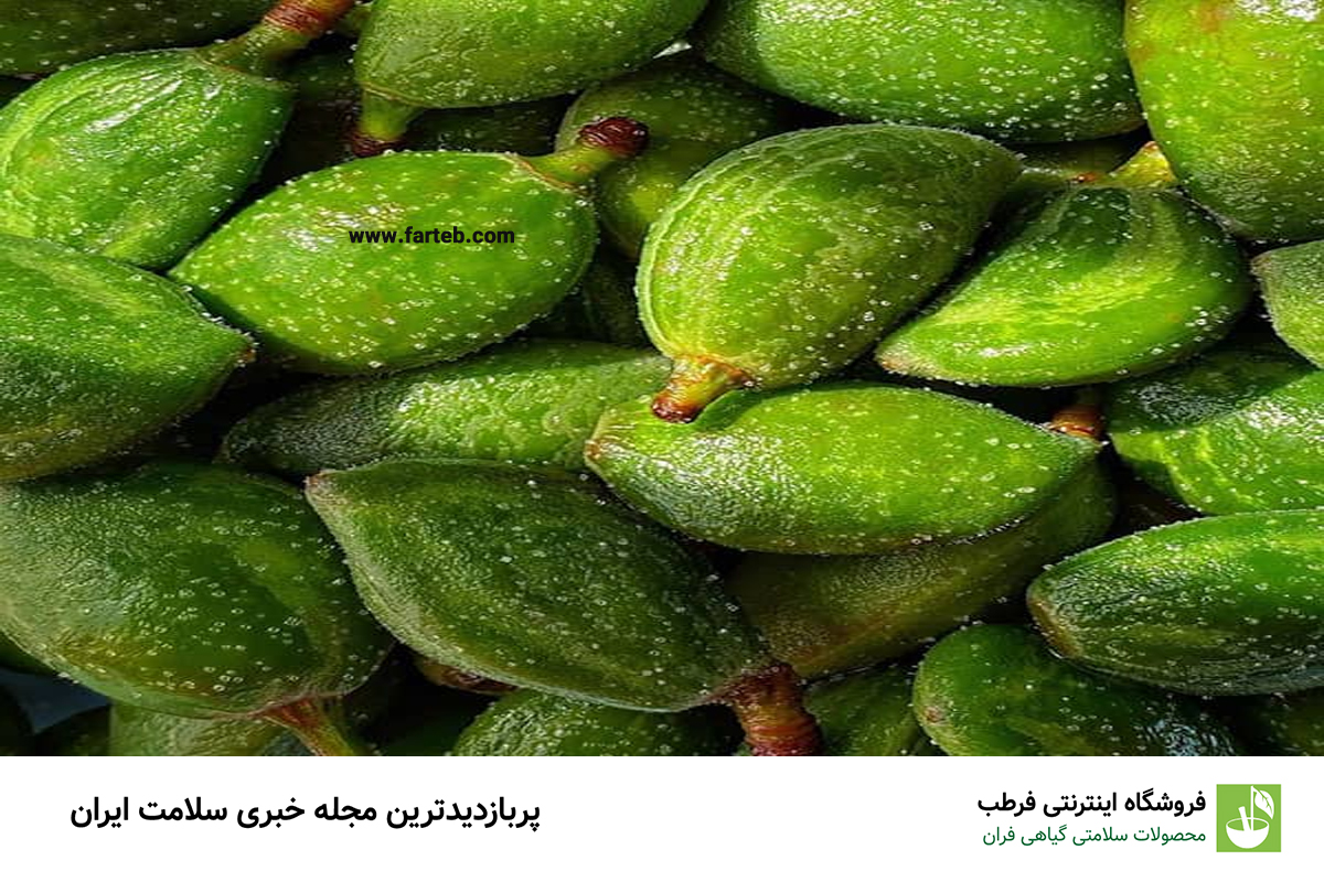 کشف میوه ای شگفت انگیز با فسفر بالا: تاثیر معجزه آسا بر سلامت آقایان