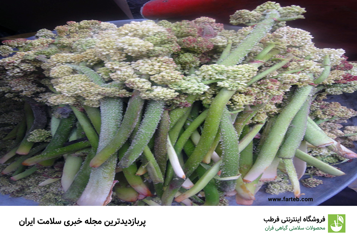 راهکارهای طبیعی برای پیشگیری و درمان یبوست در کودکان: فواید استفاده از ریواس