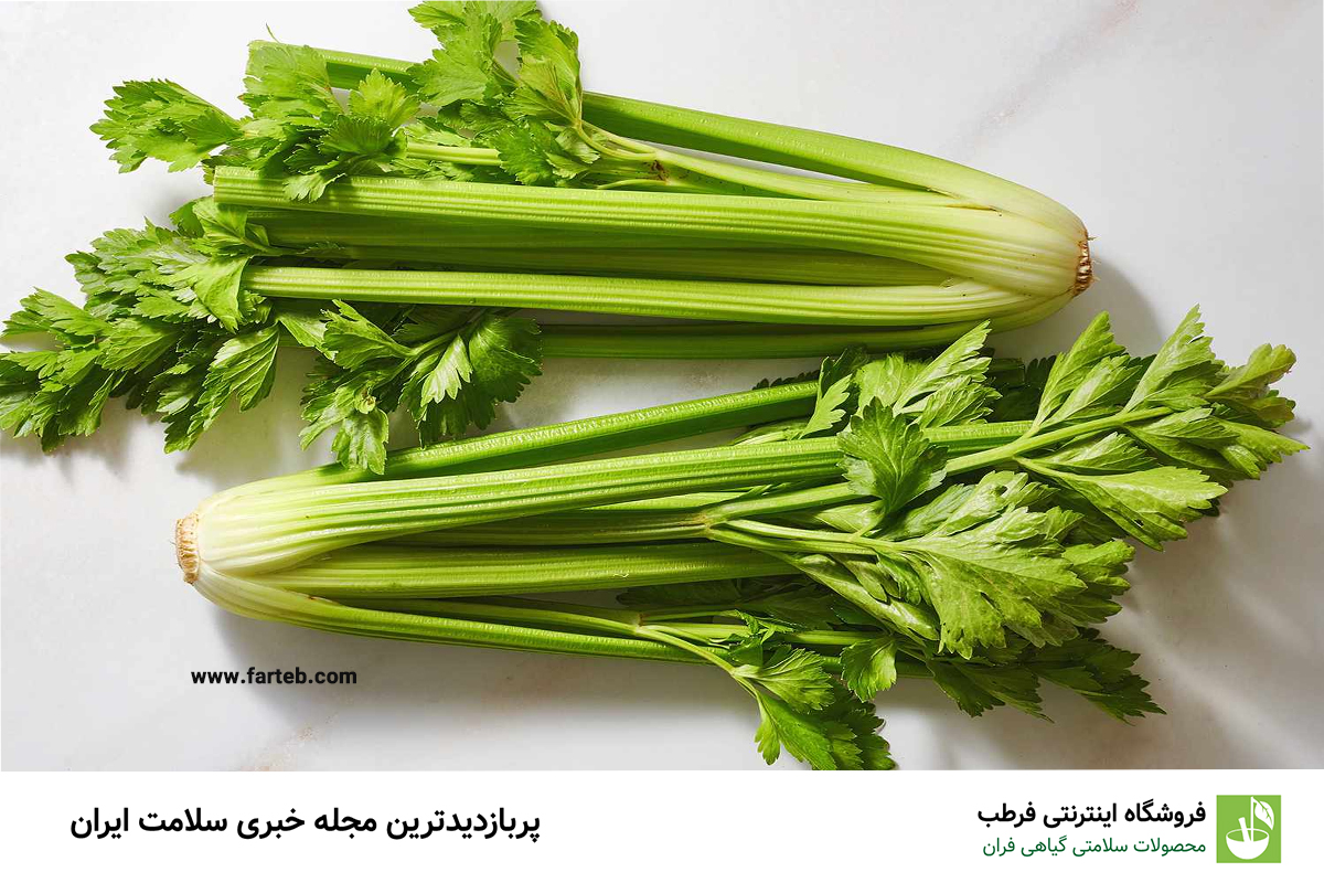 فواید شگفت‌انگیز کرفس برای سلامتی: هر آنچه باید بدانید
