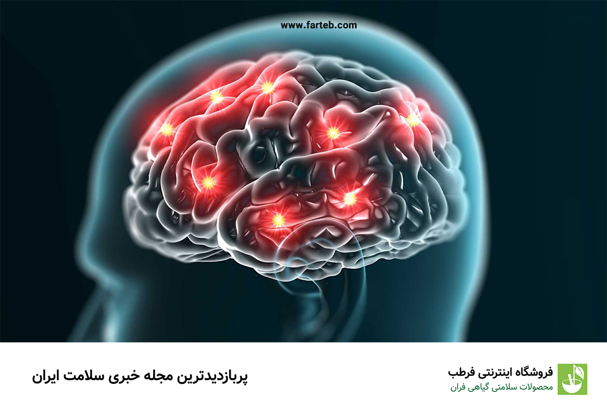 برای تقویت حافظه چی بخوریم؟
