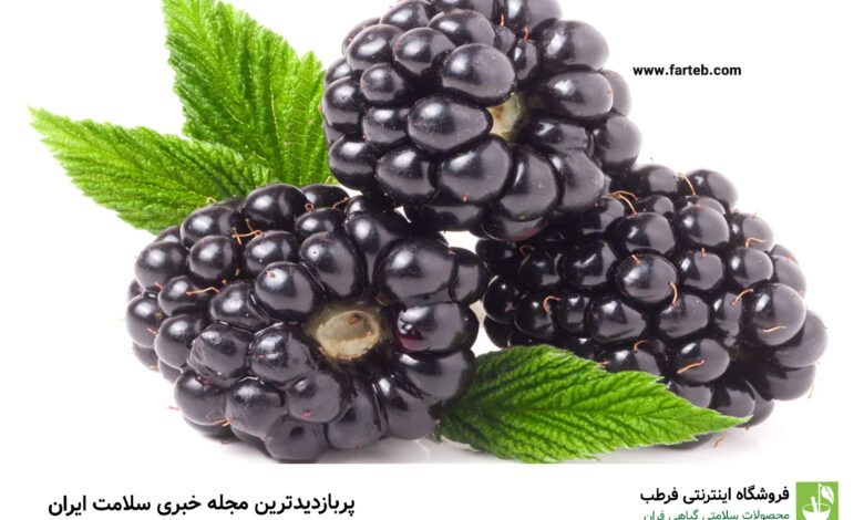 توت سیاه: ۸ فایده شگفت‌انگیز برای سلامتی که نمی‌دانستید