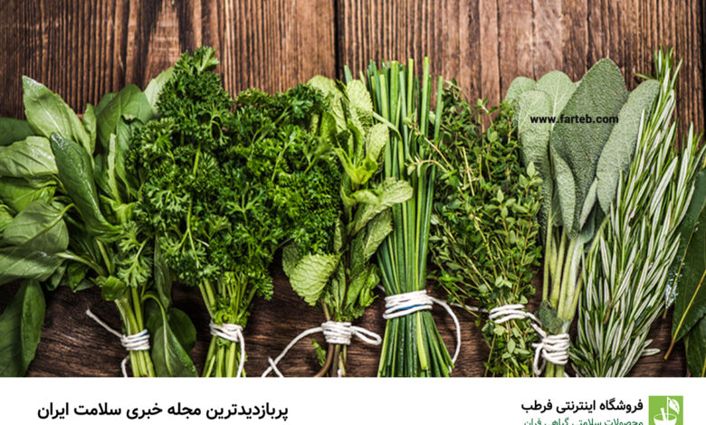کشف قدرتمندترین گیاه ضد درد خانگی: راهنمای کامل استفاده از آن برای تسکین درد