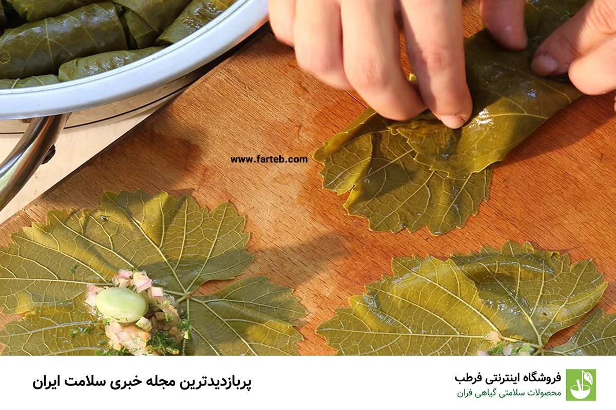 کشف فواید شگفت‌انگیز برگ انگور: چرا باید آن را در رژیم غذایی خود بگنجانیم؟