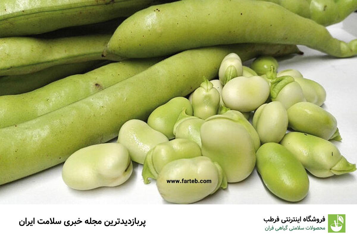 کشف فواید شگفت‌انگیز باقلا سبز برای سلامتی: چرا باید به رژیم غذایی‌تان اضافه شود؟