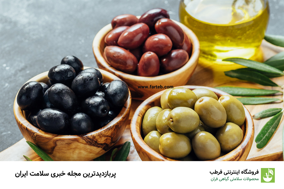 بهترین نوع زیتون از نظر طب سنتی | طبع زیتون گرم است یا سرد ؟ ؛ هر آنچه درباره زیتون باید بدانید