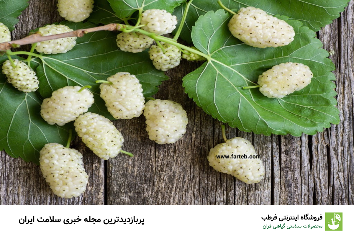 10 فایده شگفت‌انگیز توت سفید که نمی‌دانستید!