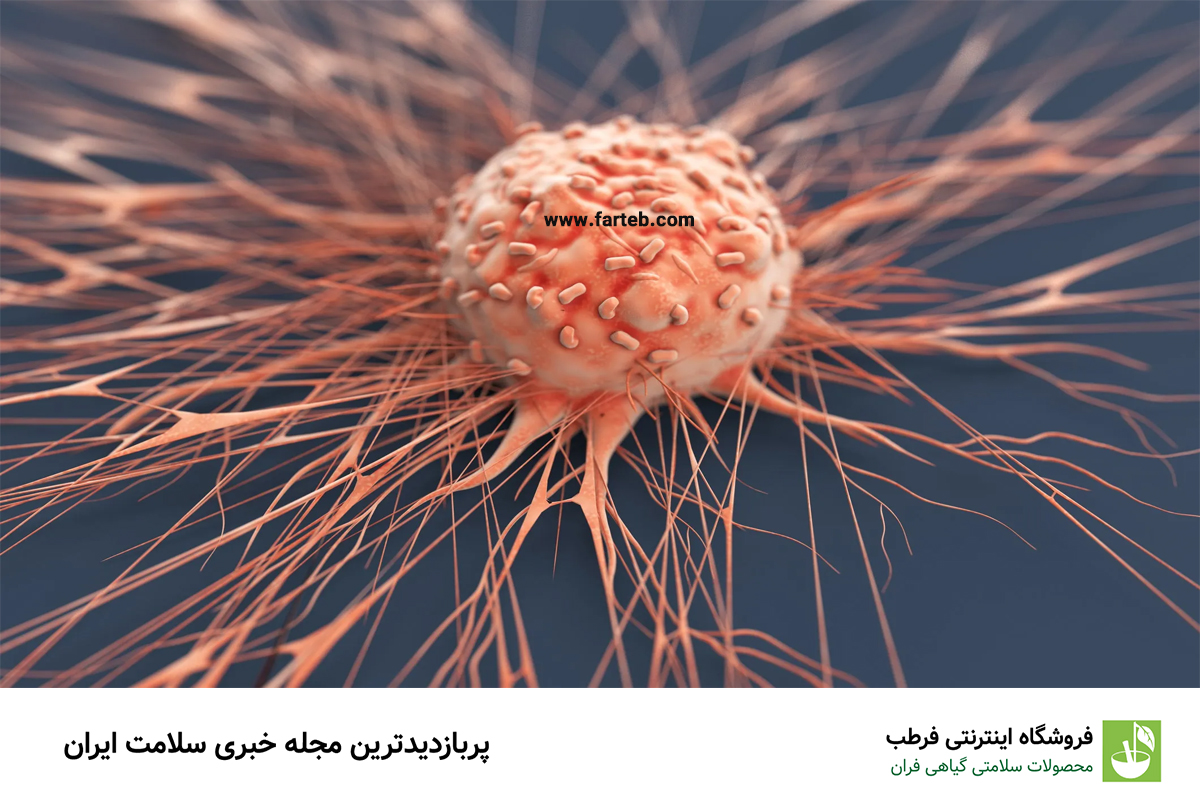 راهکارهای طلایی برای مبارزه با سرطان: نکات پیشگیرانه کلیدی شما برای یک زندگی سالم