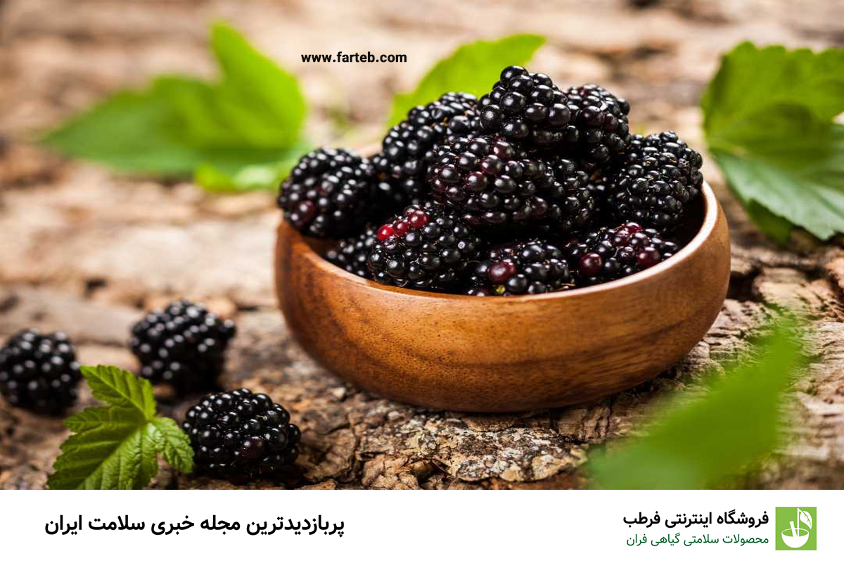 توت سیاه: ۸ فایده شگفت‌انگیز برای سلامتی که نمی‌دانستید