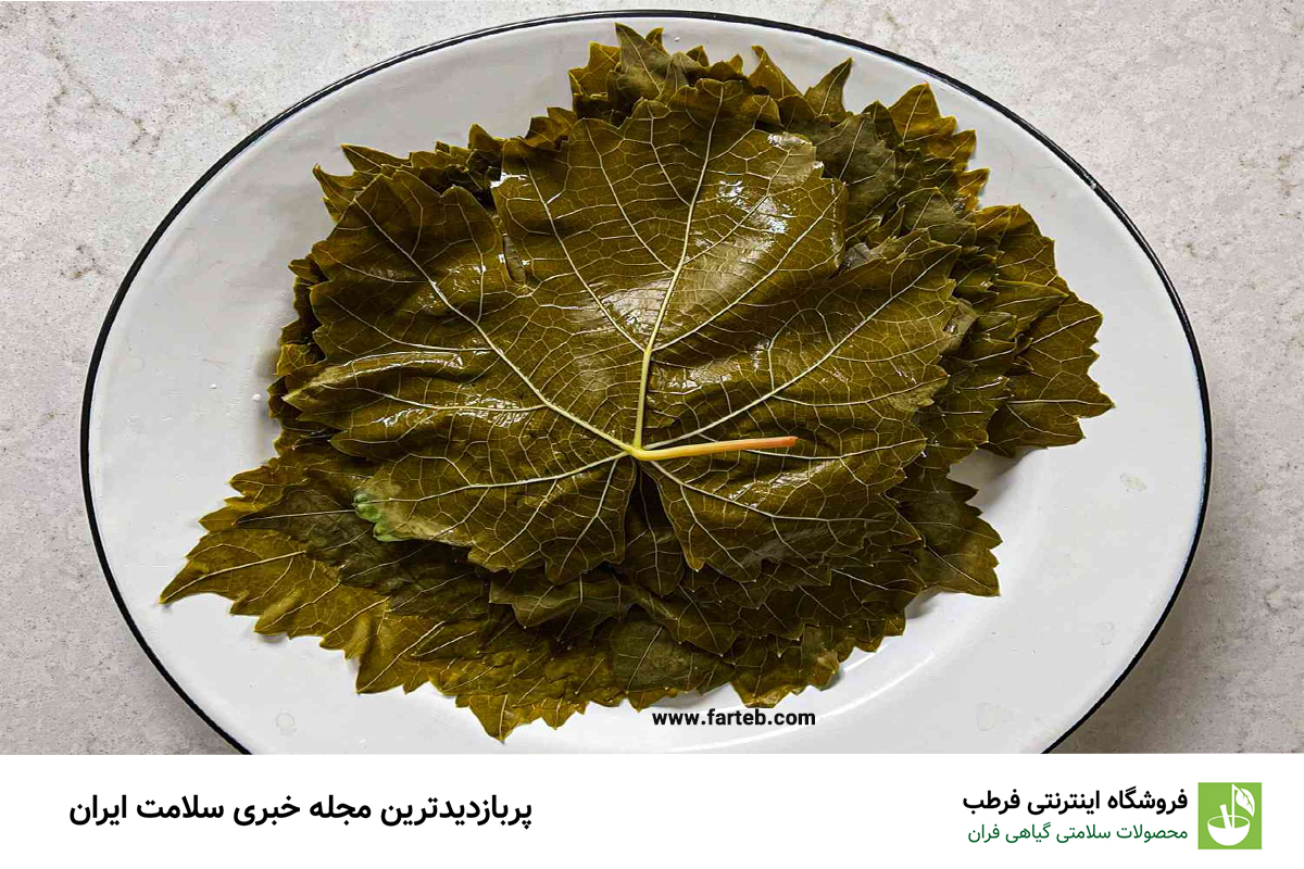 کشف فواید شگفت‌انگیز برگ انگور: چرا باید آن را در رژیم غذایی خود بگنجانیم؟