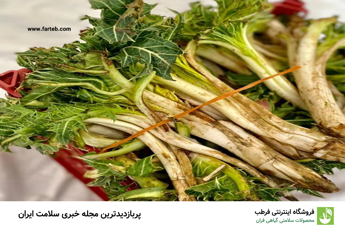 کشف ۷ خاصیت باورنکردنی کنگر برای سلامتی: معجزه‌ای برای بدن شما