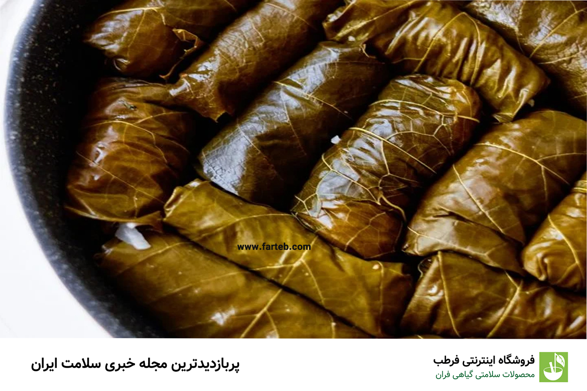 کشف فواید شگفت‌انگیز برگ انگور: چرا باید آن را در رژیم غذایی خود بگنجانیم؟