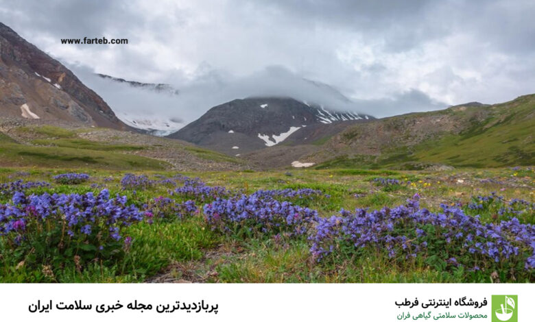 این گیاه برای جلوگیری از آلزایمر، بهبود افسردگی‌ها و تقویت حافظه است