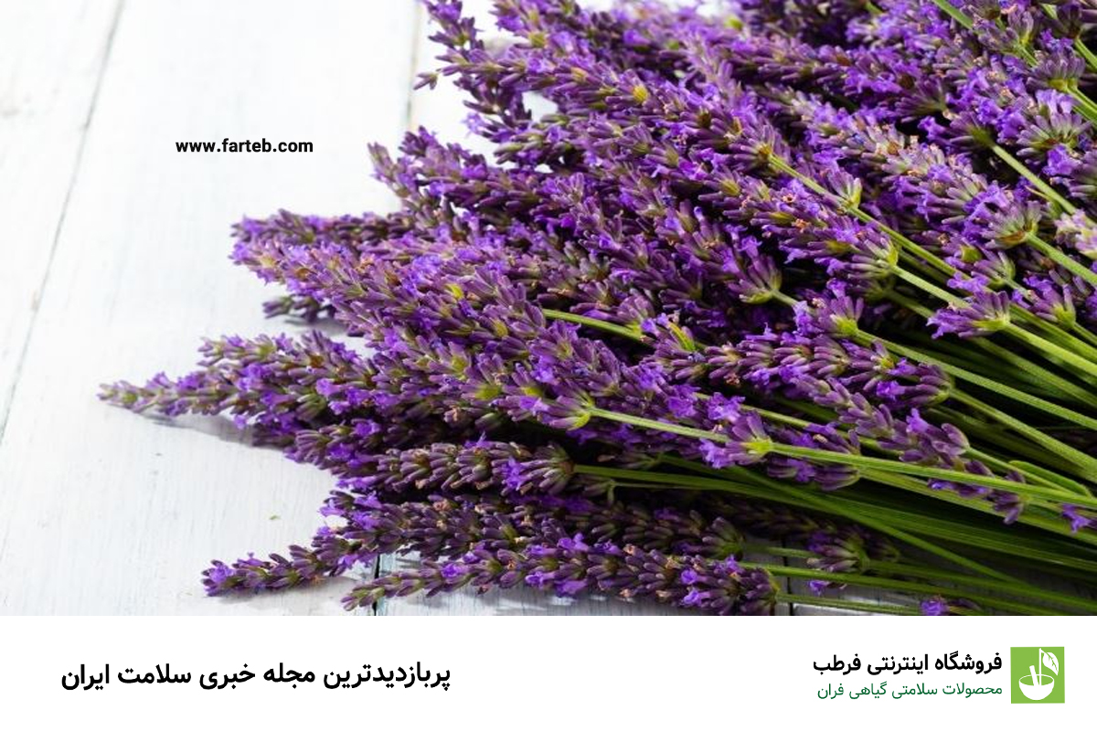 گیاهان مفید برای رشد و تقویت موهای نازک