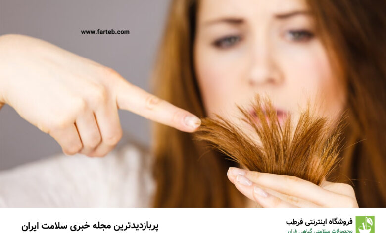موخوره را با این 6 روغن از بین ببرید! | سلامت و زیبایی مو؛ با این روغن های طبیعی